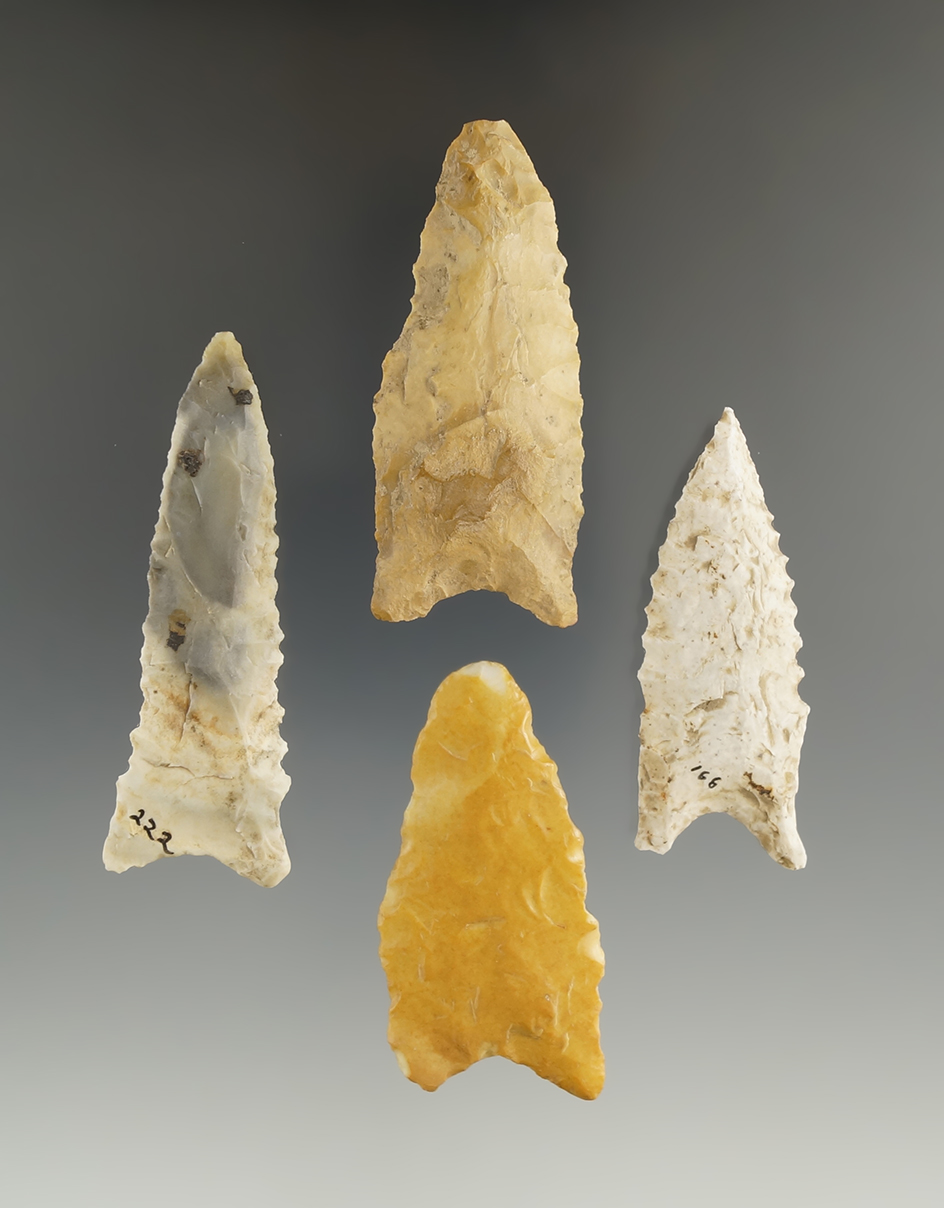 Set of four Dalton points found in Illinois, largest is 2 5/8".