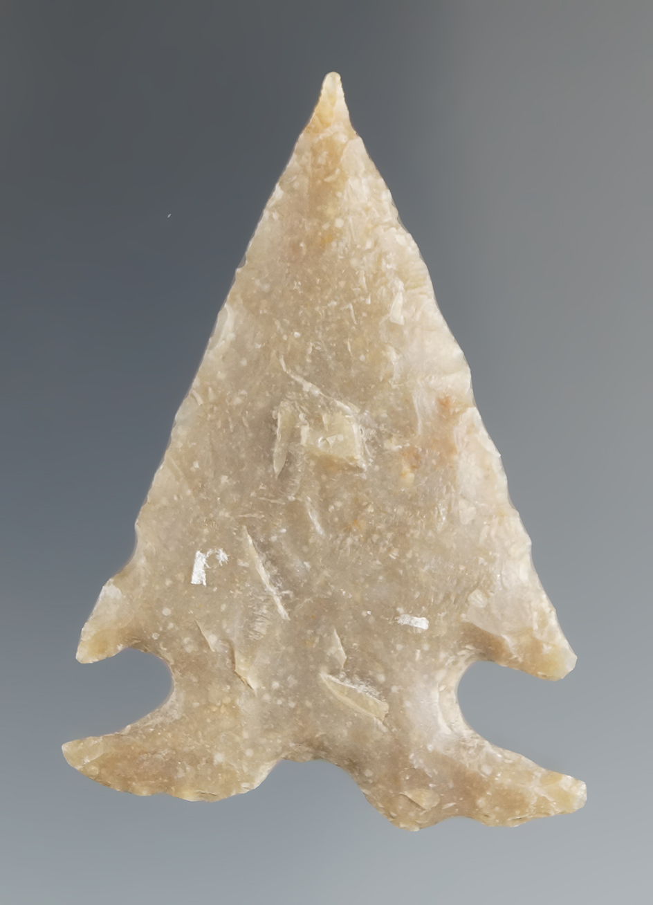 Classic style 2 1/8"  Frio point found in Real Co., Texas - quality material.  Rogers COA.