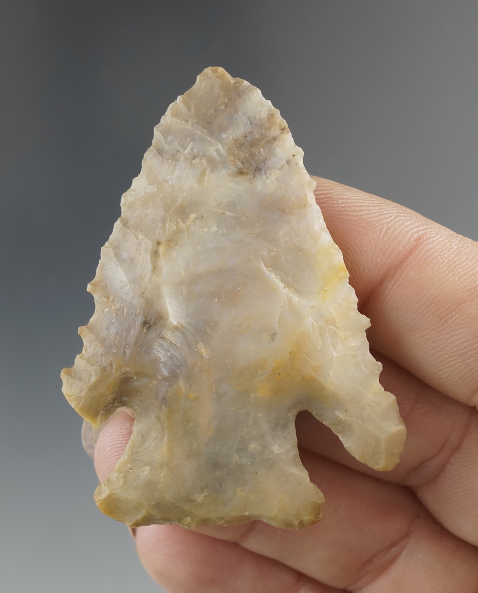 2 1/16" Lost Lake - high grade Boyles Chert, found in Carter Co., Kentucky. Jackson COA.