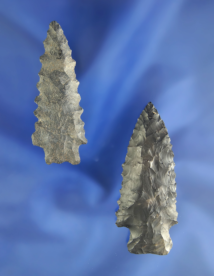Pair of serrated Archaic Heavy-Duty points, largest is 2 1/4" found in Crawford Co.,  Ohio