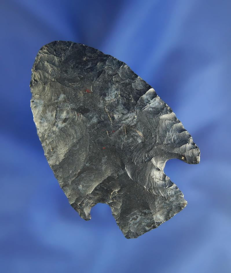 2 9/16" Basal Notch found in Miami Co.,  Ohio, - Coshocton Flint. Comes a Bennett COA.