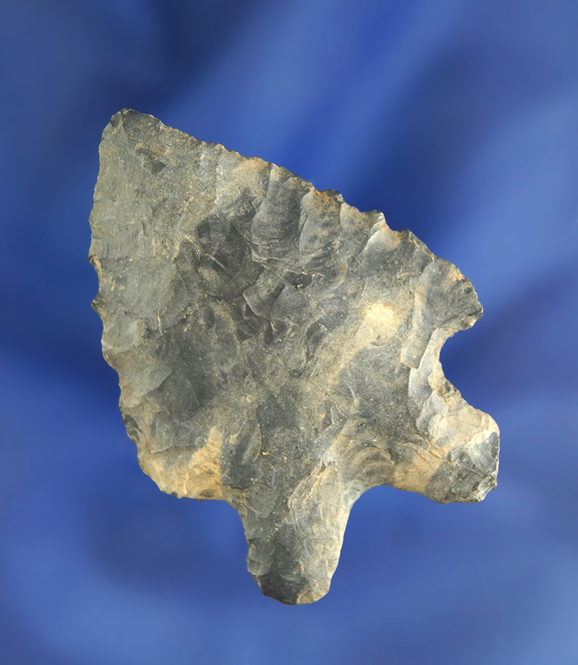 2 1/8" Coshocton Flint Archaic Bifurcate found in Ohio.