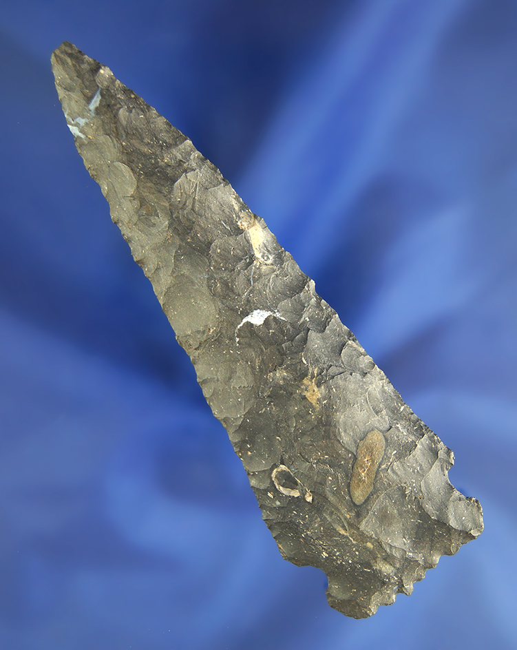 4 3/16" Coshocton Flint Stilwell with uniquely serrated base found in Ohio.  Ex. Earl Townsend