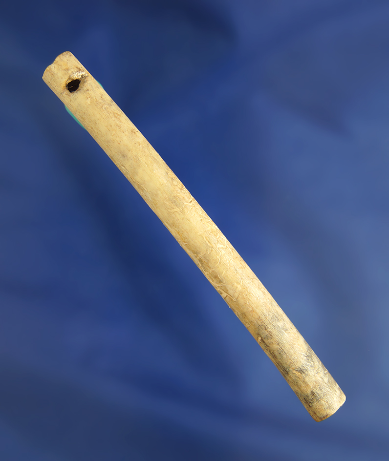 Well patinated 3 11/16" turkey leg bone Whistle found in Kentucky.