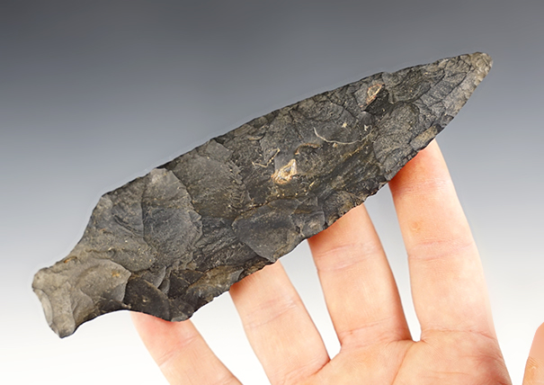 Large 5 3/4" Ashtabula - Licking Co., Ohio. Glued about 3" from the tip. Still a nice large example. 