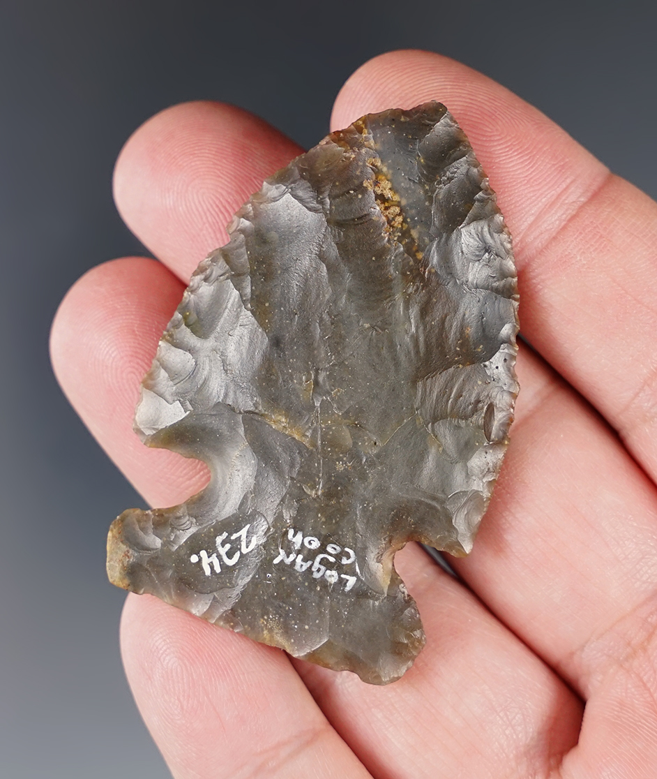 Classic style 2 1/4" Archaic Sidenotch - high-grade Sonora. Logan Co., Ohio. Ex. Driskill (#234).