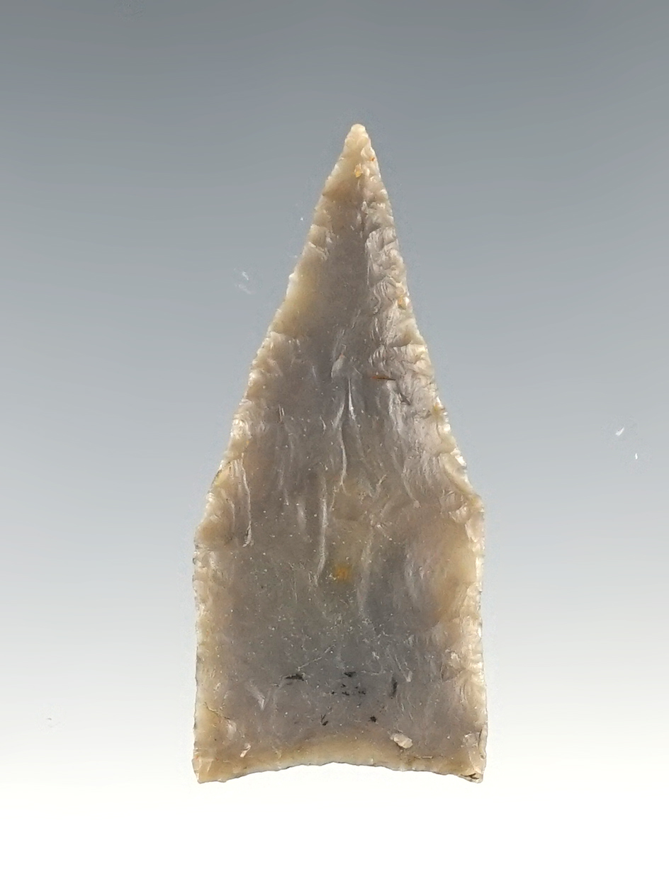 Thin and fine 1 5/8" Jacks Reef Pentagonal found in Tennessee. Ex. Tom Davis.