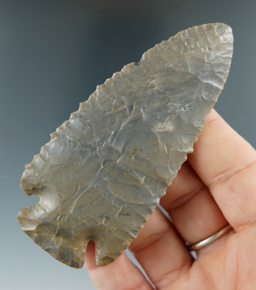 Excellent flaking and edge serrations - 3 5/8" Dovetail from high quality Hornstone - Indiana.