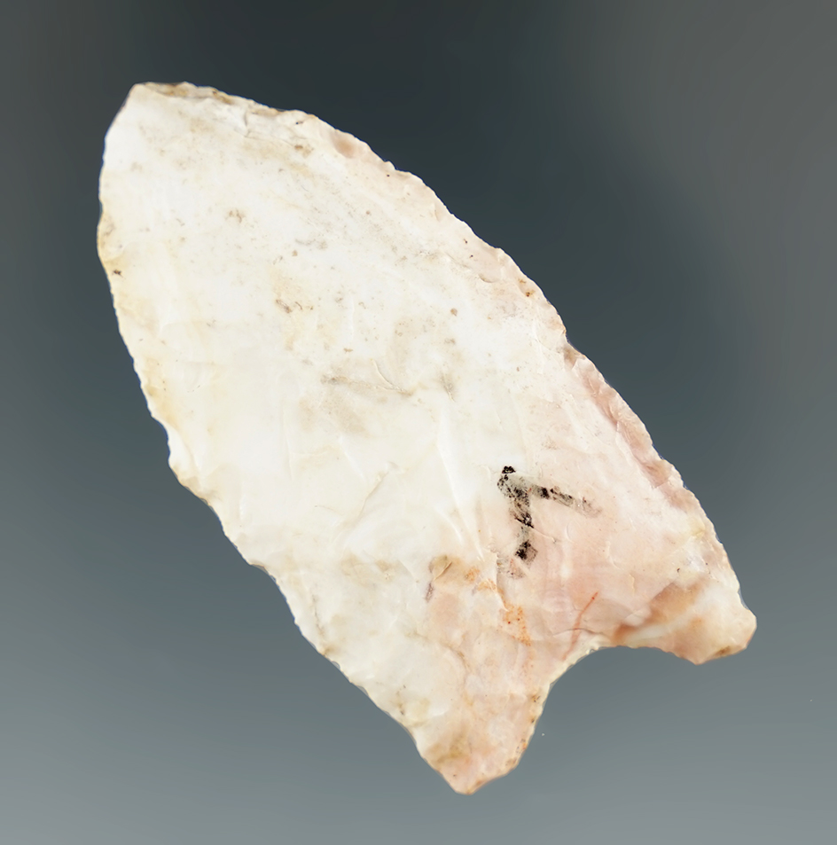 2 1/4" Burlington chert Clovis found in Illinois. Comes with a Davis G-9 COA.