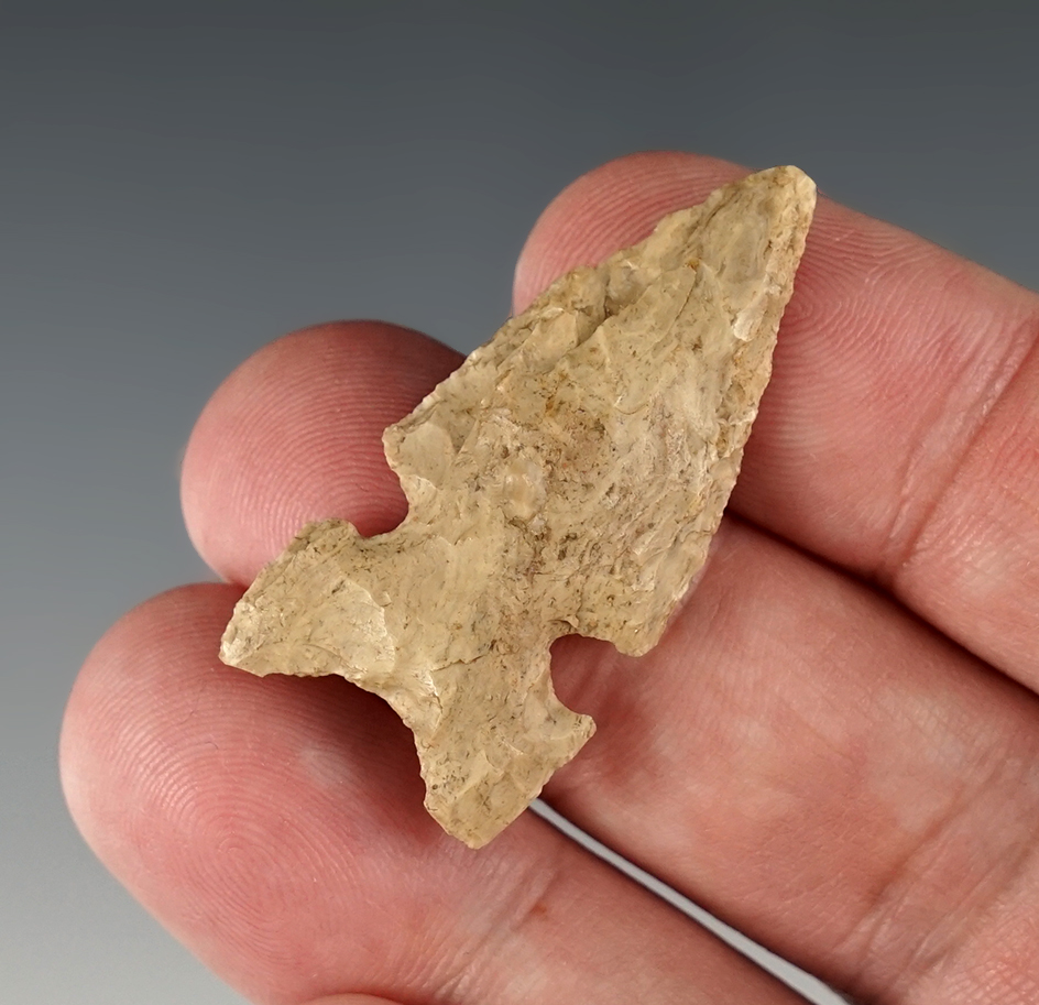 1 9/16" Side Notched point found in Oregon. Nicely patinated.