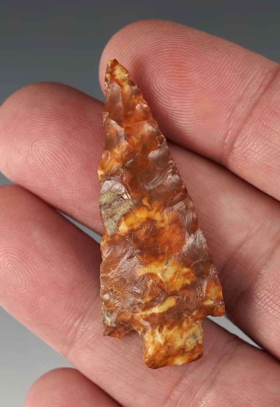 Highly colorful 1 15/16" Chilcotin Plateau made from Picture Jasper. Biggs Junction, Oregon.