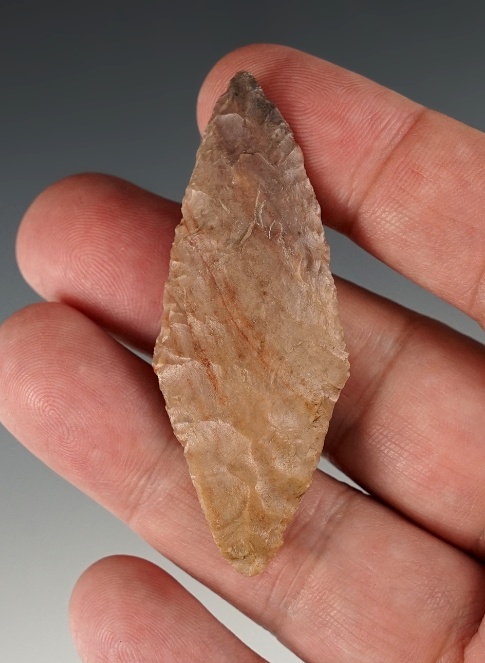 Well made 2 1/2" Cascade Shouldered found around the Columbia River, Washington.