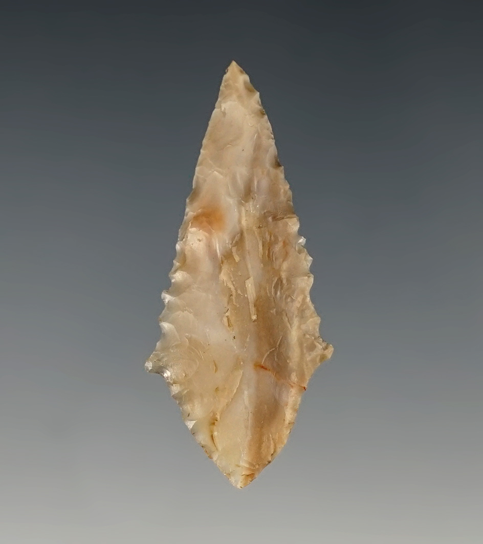 Well made 1 11/16" Agate Coquille Broad Neck found around the Columbia River, WA.