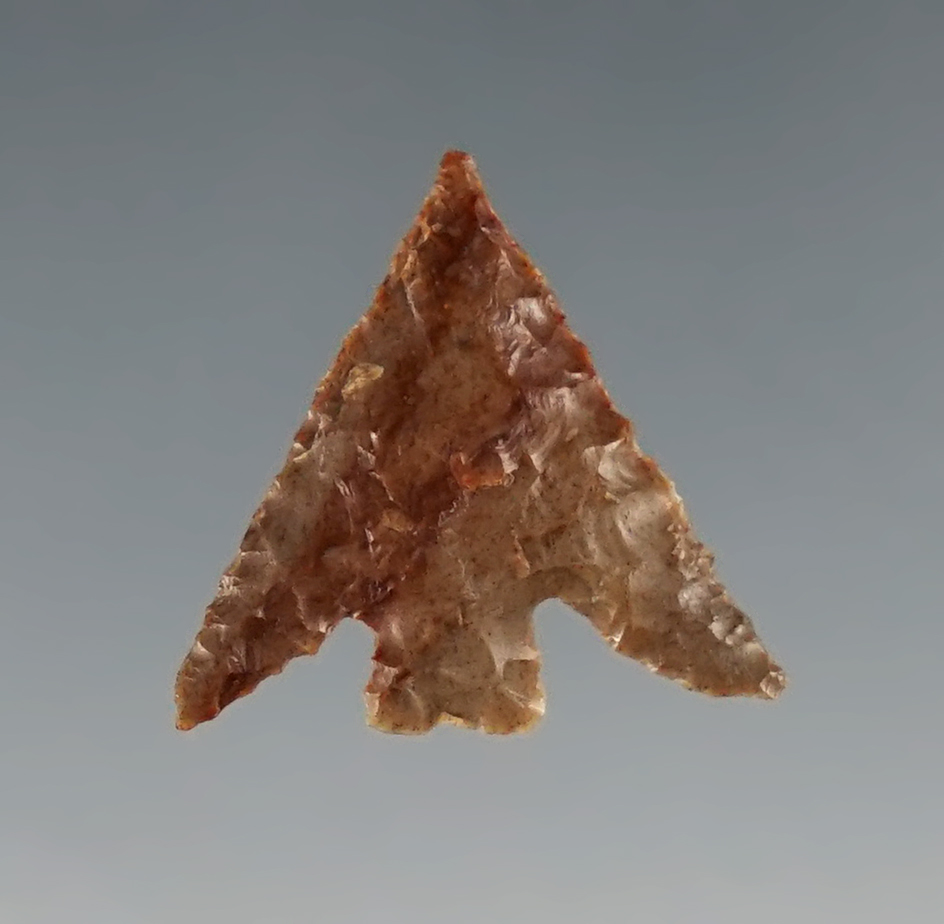 Superb 13/16" Columbia Plateau found near The Dalles, Oregon.