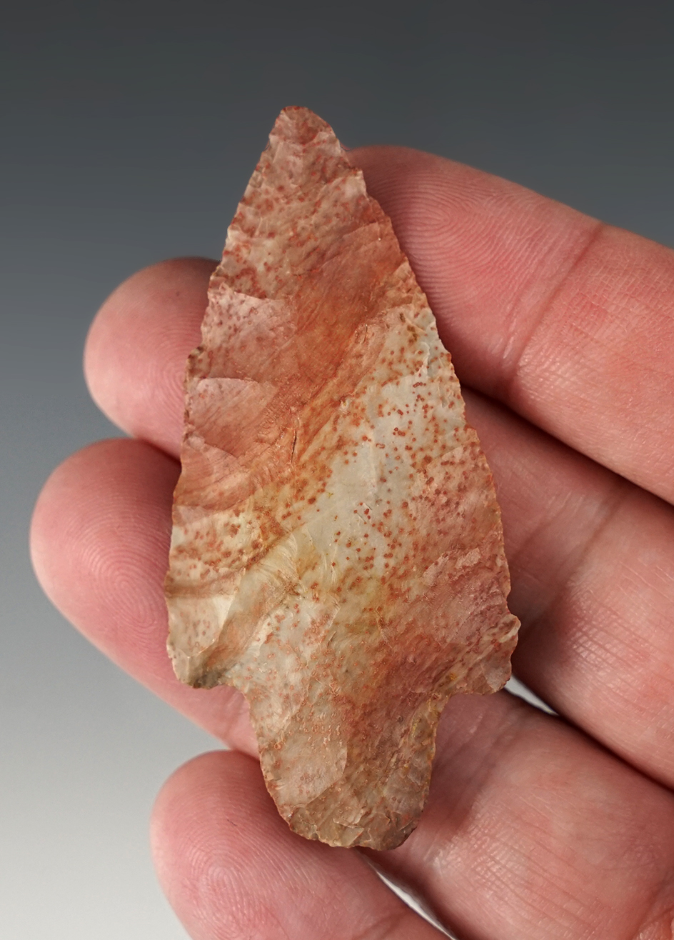 Highly colorful 2 5/8"Gypsum Cave found in Eastern Oregon.