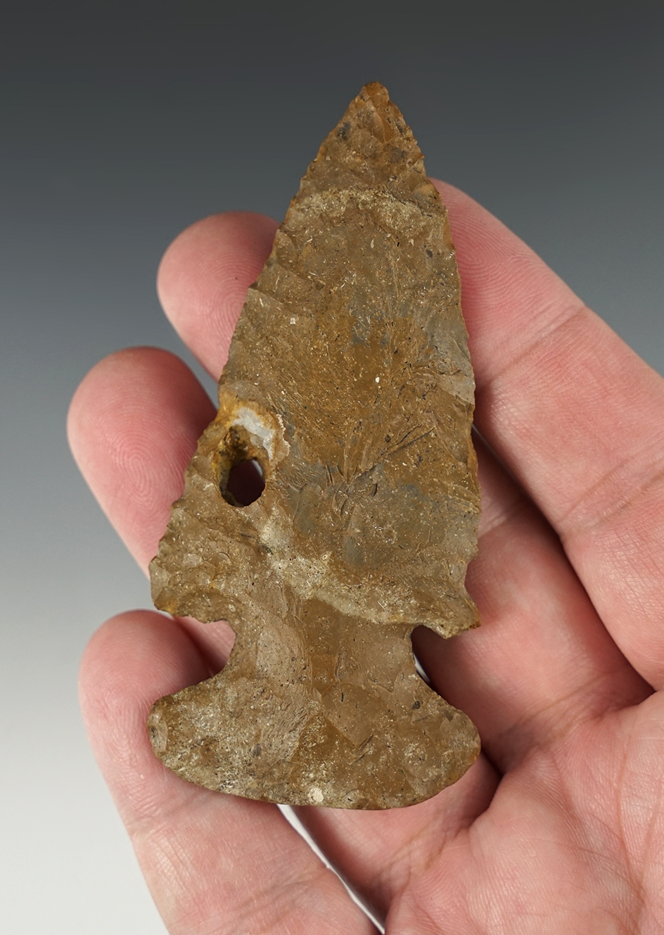 3 3/8" Thebes point found in Kentucky. Nicely made with a natural hole in it from a fossil.