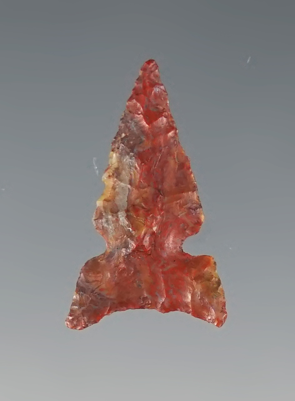 Multi-Colored 15/16" Desert Delta Side Notch found in Oregon.