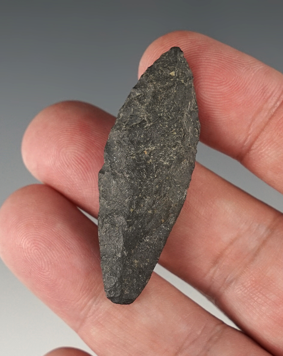 2" Paleo Spedis found around the Columbia River, Washington. Nice stem grinding.