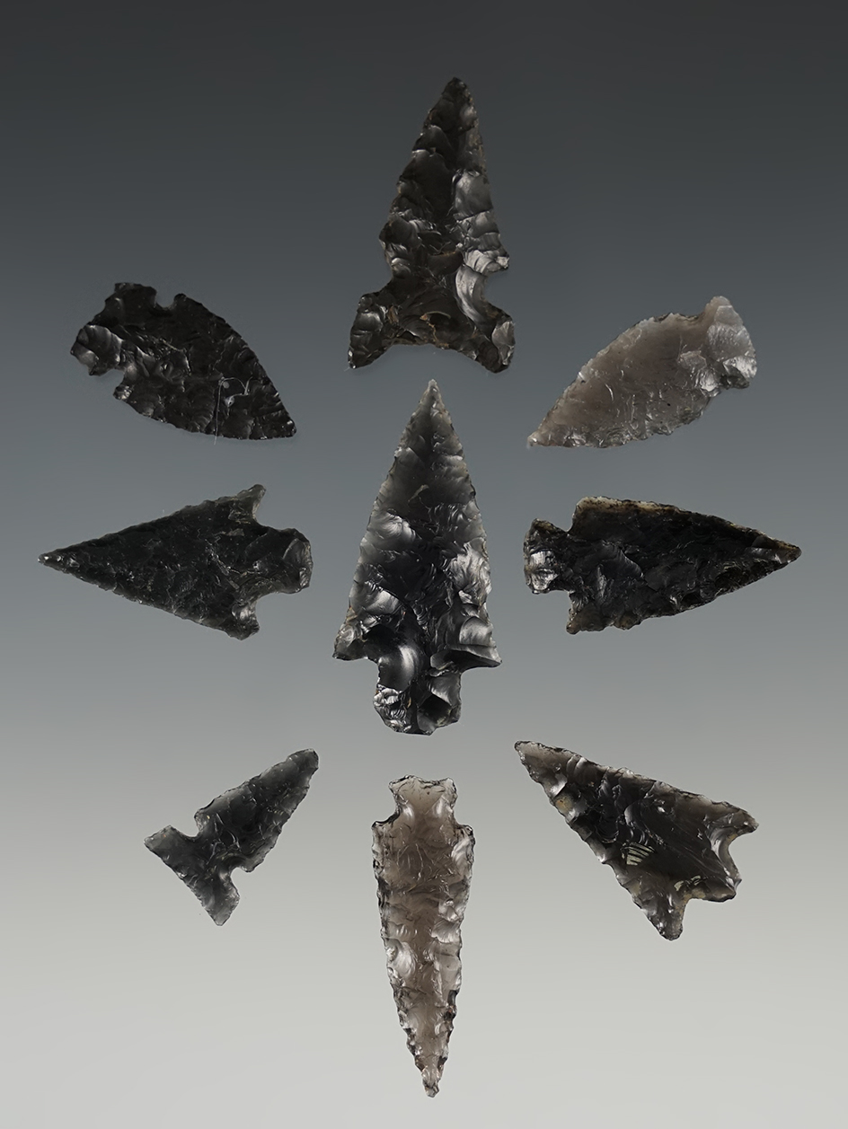Set of 9 assorted points found in Lake Co., Oregon. The largest is 1 1/2".