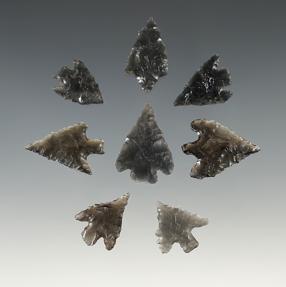 Set of 8 Calapooya points found in Eugene, Oregon. The largest is 1".