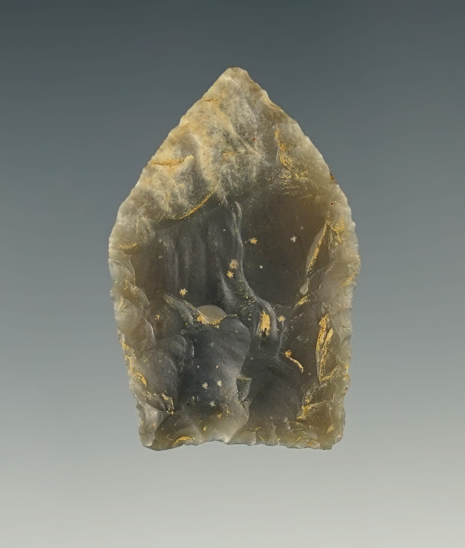 Fine 1 3/8" Jacks Reef Pentagonal made from glossy Wayne Co., Chert. Found in Kentucky.