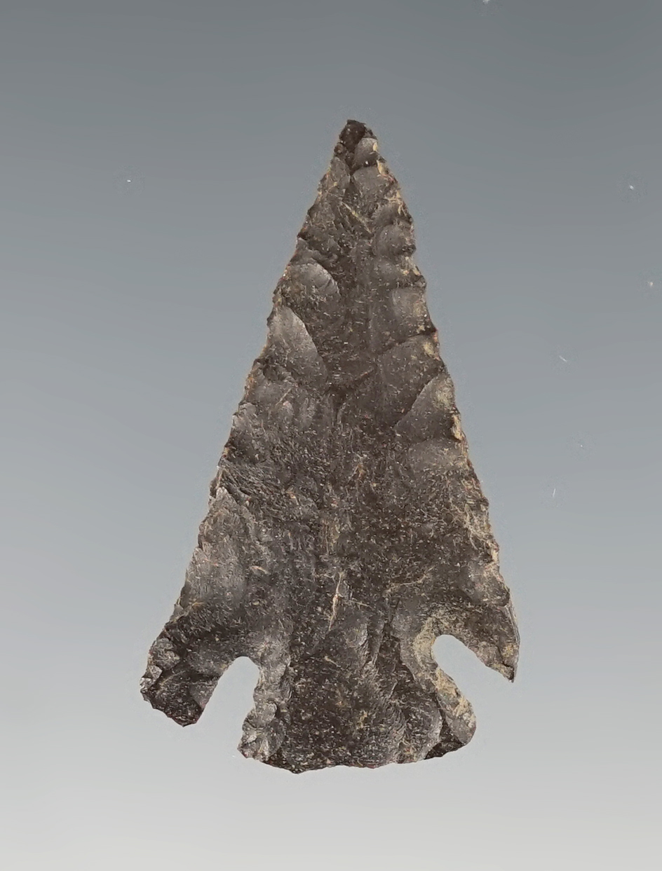 1 3/8" Corner Notch found in Oregon. Well made relic.