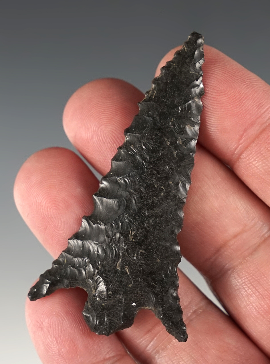 2 5/8" Eastgate style Obsidian point with nice serrations and beautiful flaking. Lake Co., Oregon.