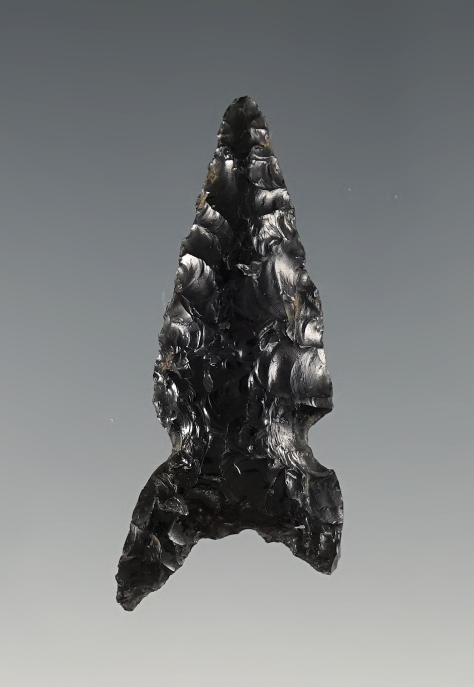 Nice 1 3/4" Northern Side Notch, Fox Ear variation. Found in Eastern Oregon.