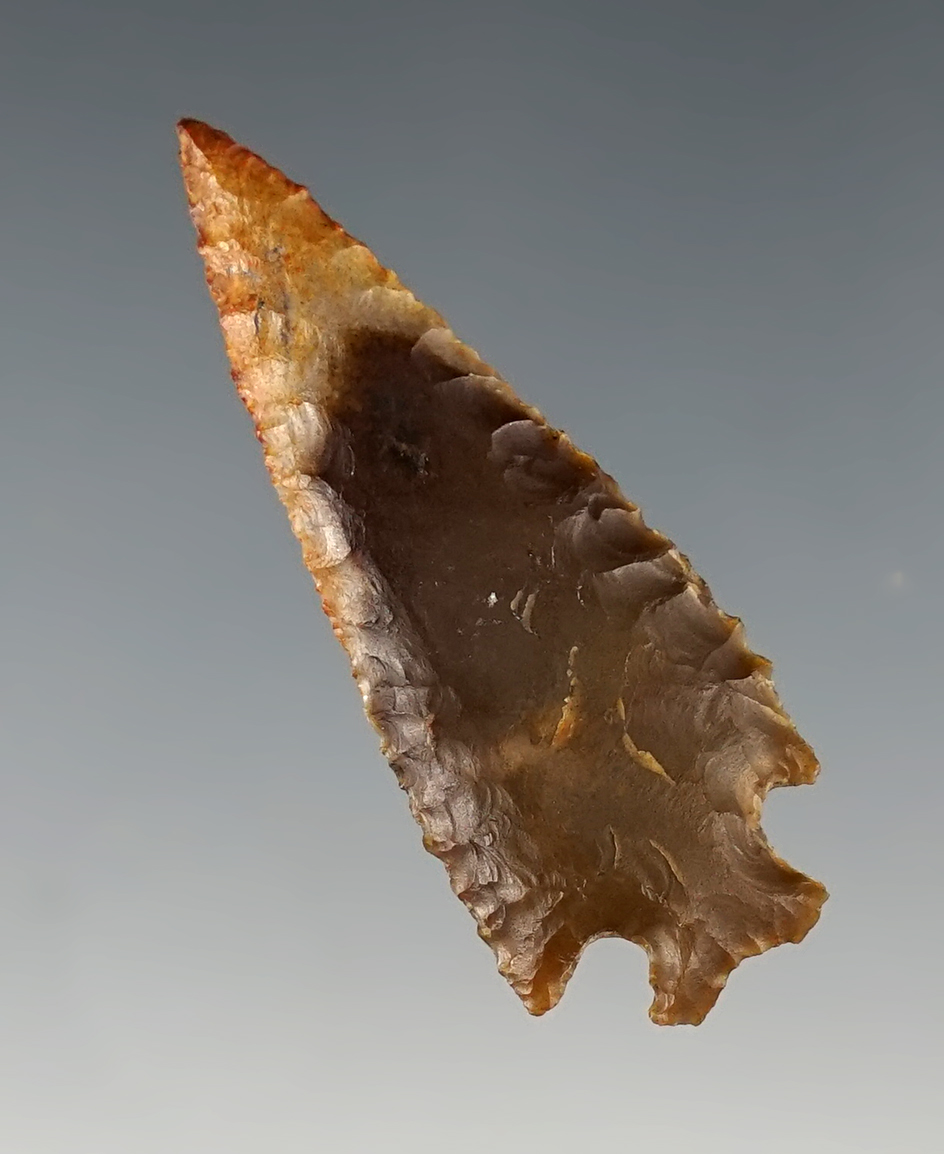 Colorful 1 3/4" Corner Notch found around the Columbia River by Norma Berg.