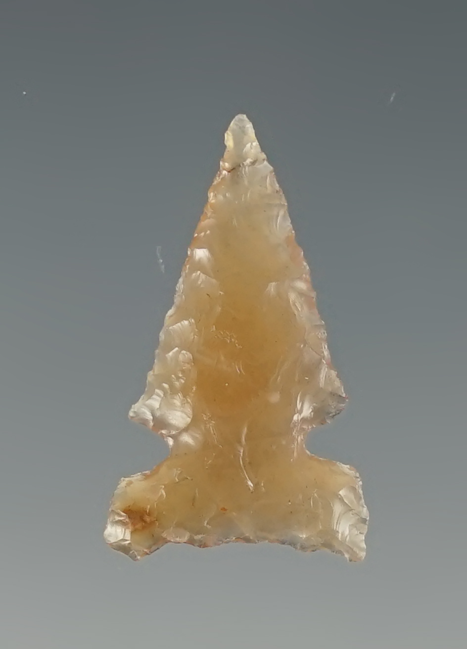 1" Desert Delta found around the Columbia River, Washington. Highly Translucent.