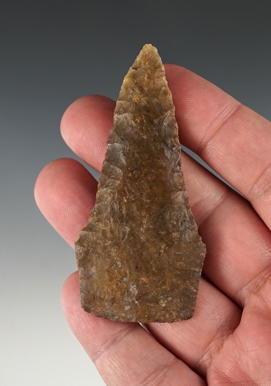 Classic 3" Plateau Pentagonal made from Silicified Wood. Found in Alderdale, Washington.