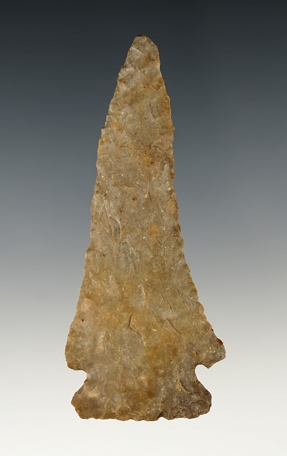 3 3/16" Nice Pine Tree found in Kentucky.