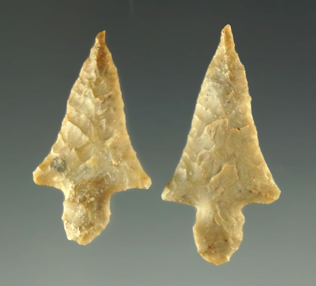 Ex. Museum! Beautiful pair of Alba points found in Texas from the Charles Shewey collection.