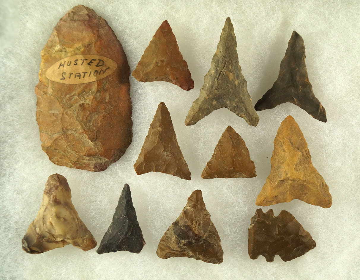 Set of 11 assorted arrowheads found in the southern U.S., largest is 2 3/4".