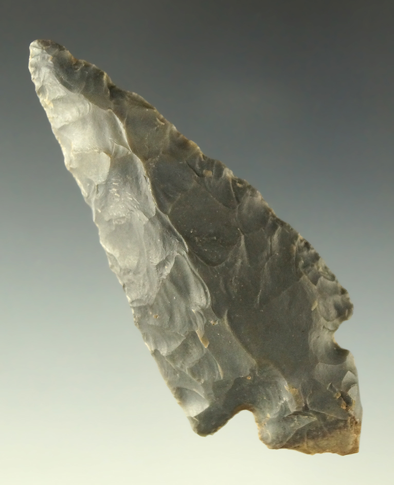 3 3/8" Turkeytail made from Hornstone found in Indiana. Ex. Bud Blum collection. Bennett COA.