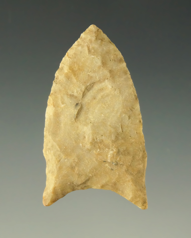 Thin and nicely styled 1 5/8" Dalton with a heavily ground base found in the Midwestern U. S.