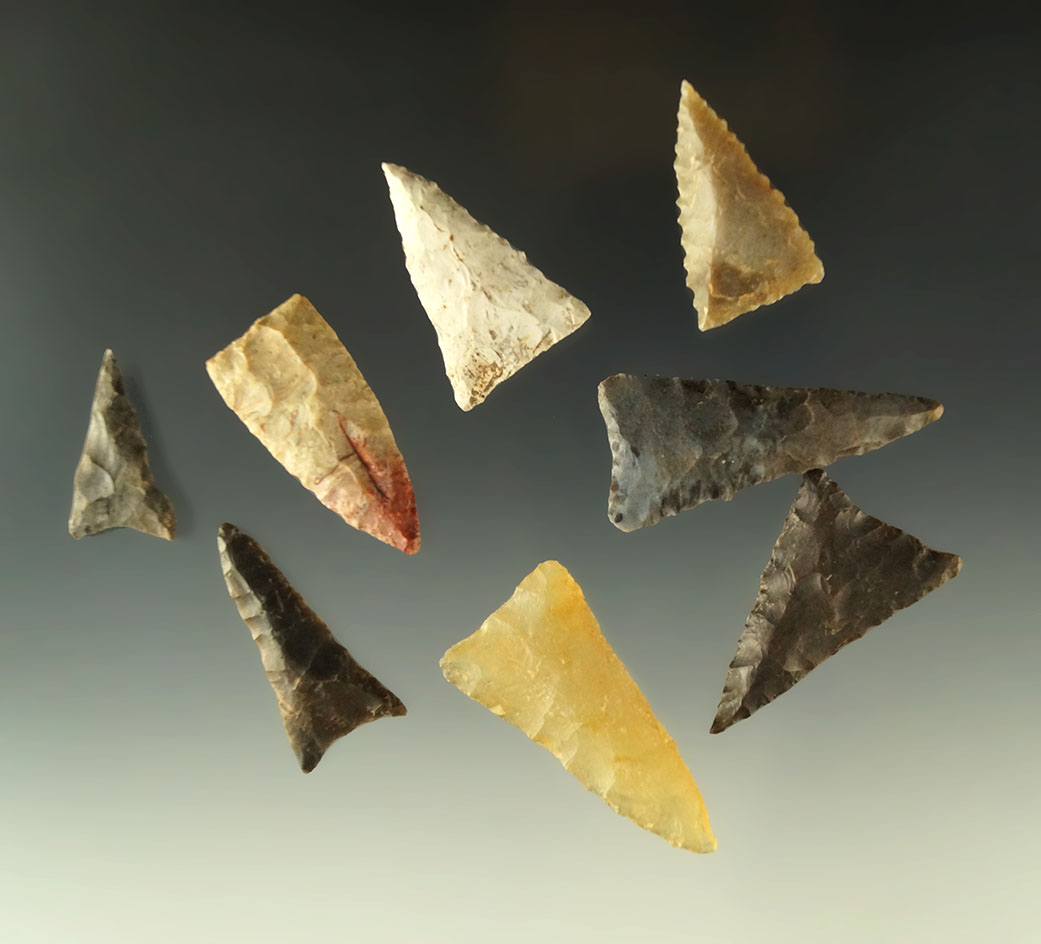 Set of eight Midwestern Triangle points, largest is 1 9/16".