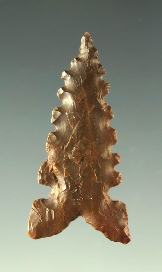 Ex. Museum!  1 1/4" brown Jasper Toyah found in Texas. Ex. Charles Shewey collection.  COA.