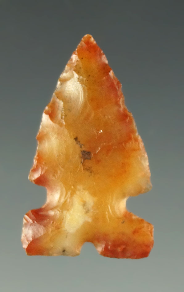 Ex. Museum! 15/16" Desert Sierra - beautiful tan and red agate found in Oregon Davis COA G-8.