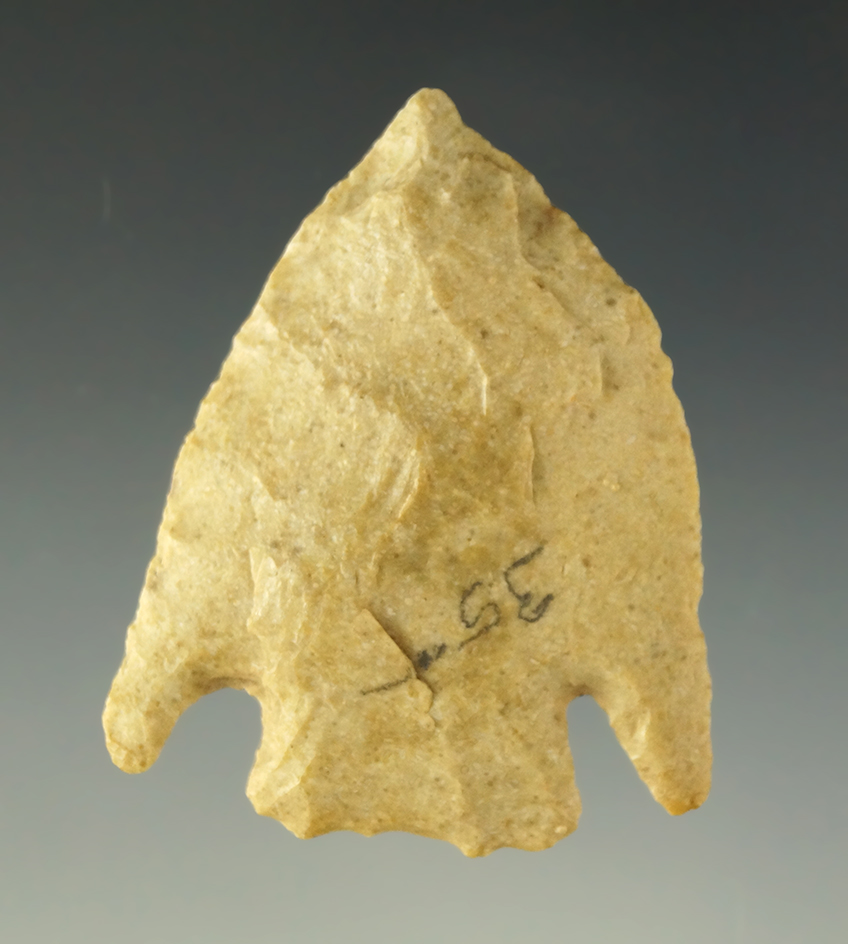 2" Marshall point with nice flaking found in Curry County Texas. Comes with a Bill Arnold COA.