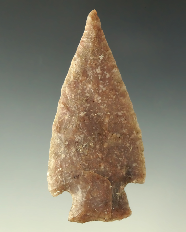 Ex. Museum! Excellent style on this 2 13/16" Lange point - Texas. Ex. Wallace Cullpepper.