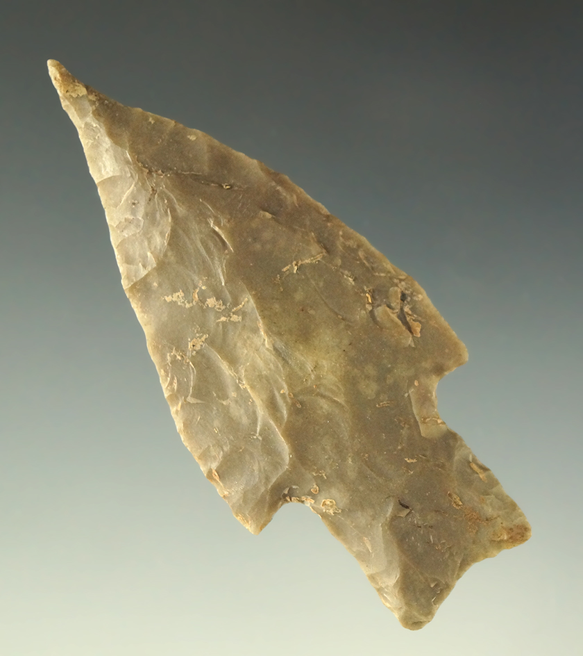 Ex. Museum! Needle tip! 2 13/16" Bulverde found in Texas. Ex. Wallace Culpepper, James Ferrell.