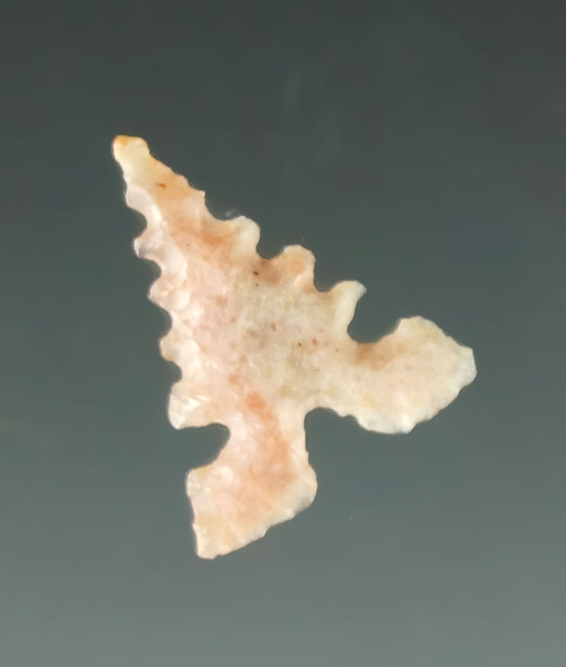 Ex. Museum! 11/16" perfectly flaked Toyah - attractive mottled Flint - Texas.  Davis G-9 COA.