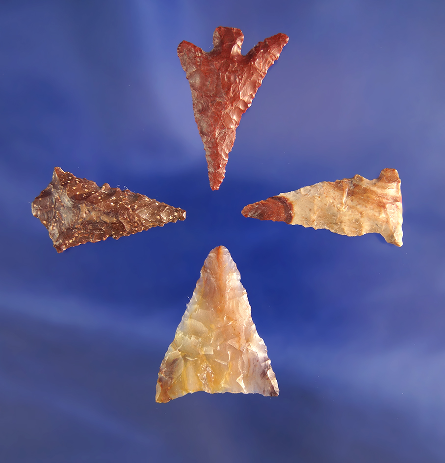 Set of four arrowheads in nice condition, largest is 1 1/8".  Wishram area of the Columbia River.