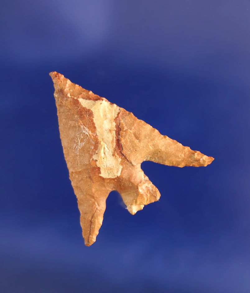 1 1/8" Columbia Plateau that is very nicely flaked.  Wishram area of the Columbia River.