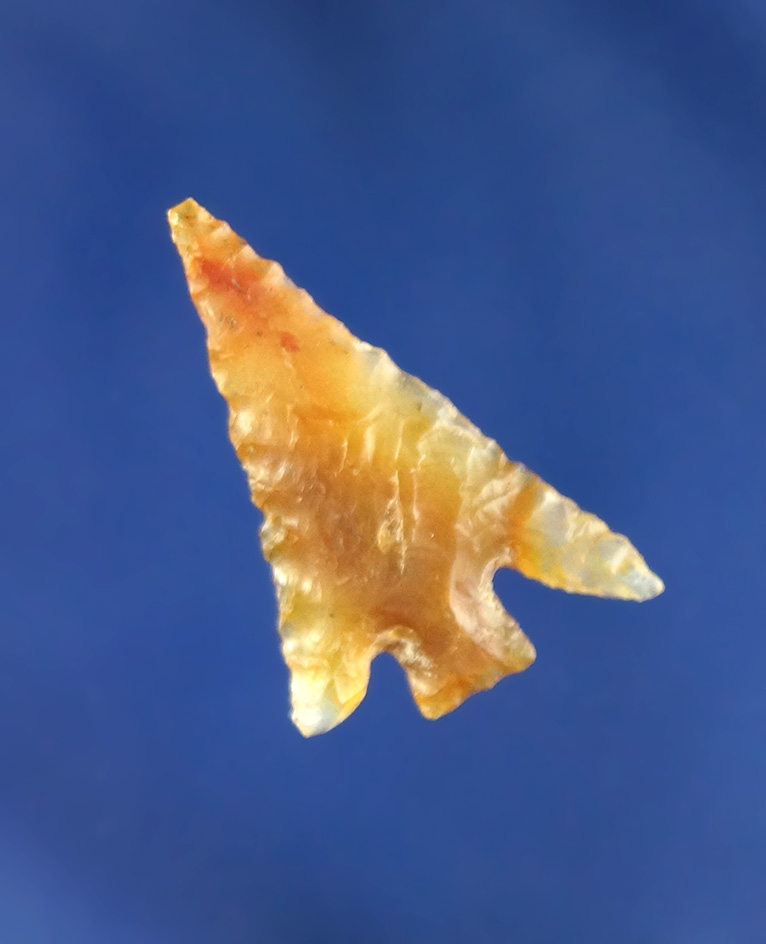 Beautiful material on the semi translucent multicolored agate 1" Columbia Plateau found in Oregon.