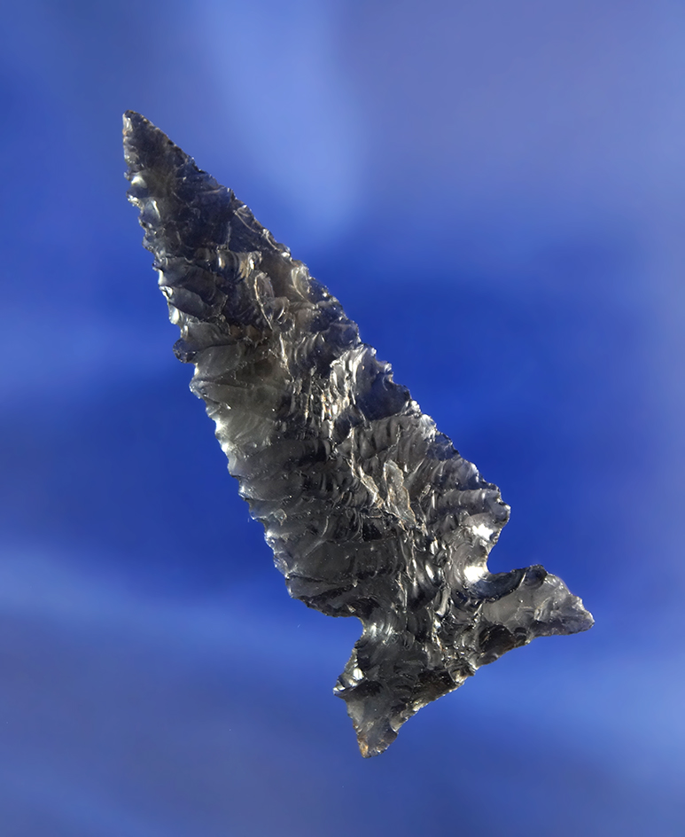 2 3/16" translucent Obsidian Northern side Notch that is very thin with nice edge serrations.