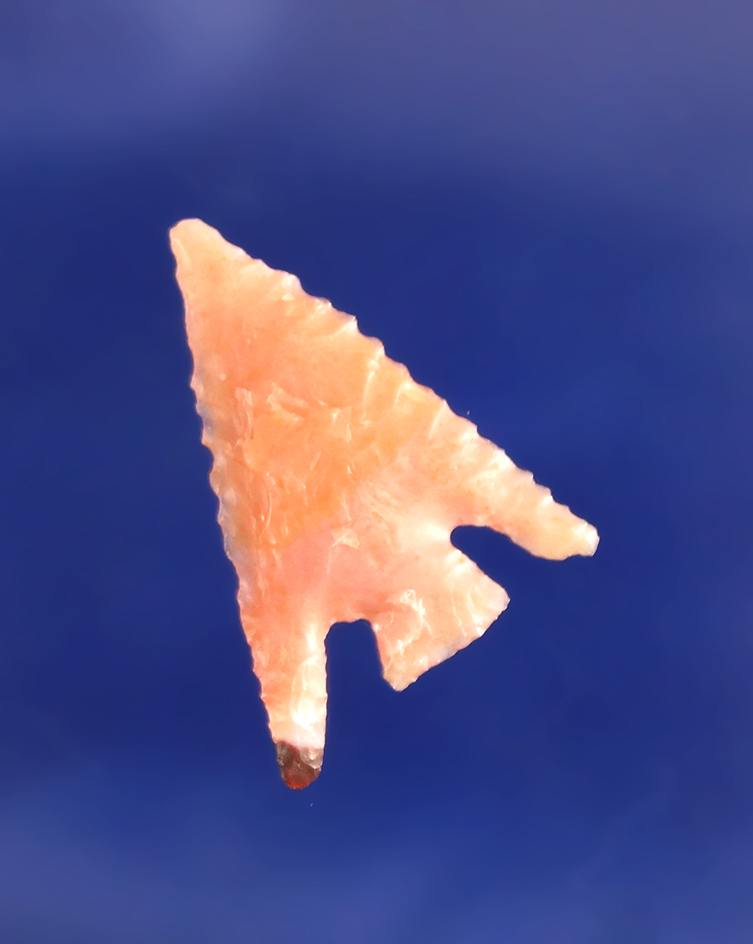 15/16" Columbia Plateau- perfectly flaked from pink material.  Wishram area of the Columbia River.