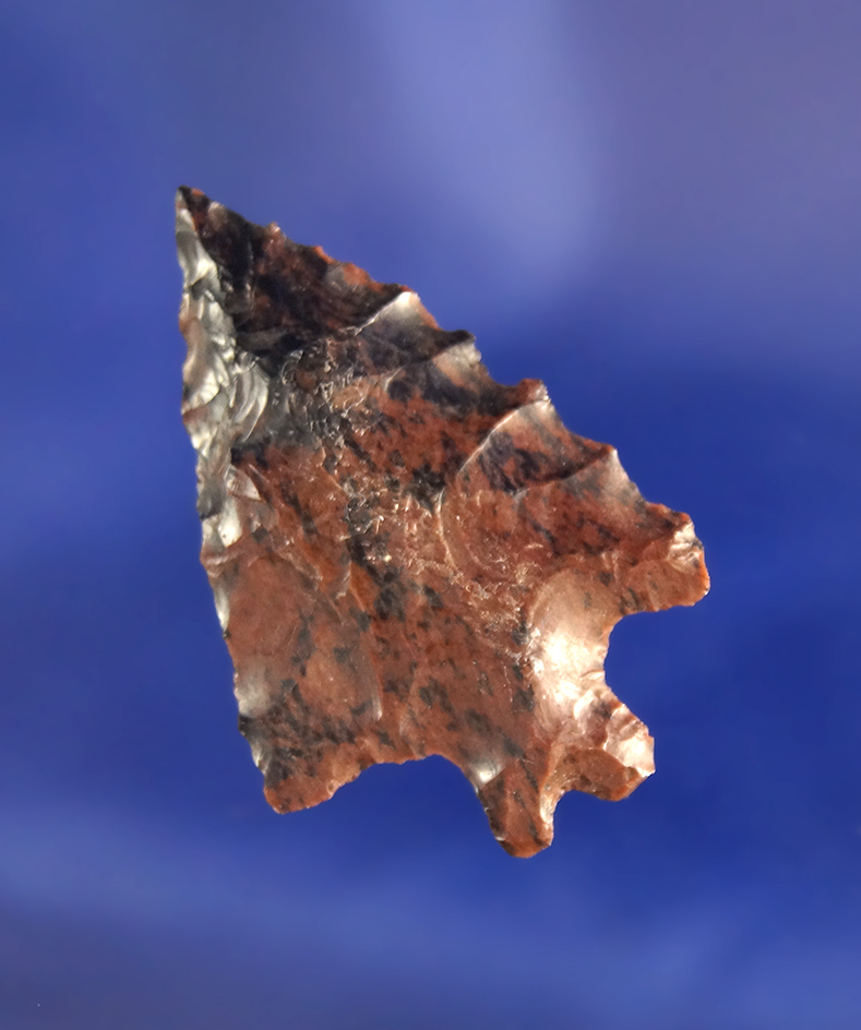 1 1/2" Mahogany Obsidian Split-Stem that is well patinated found in Oregon.