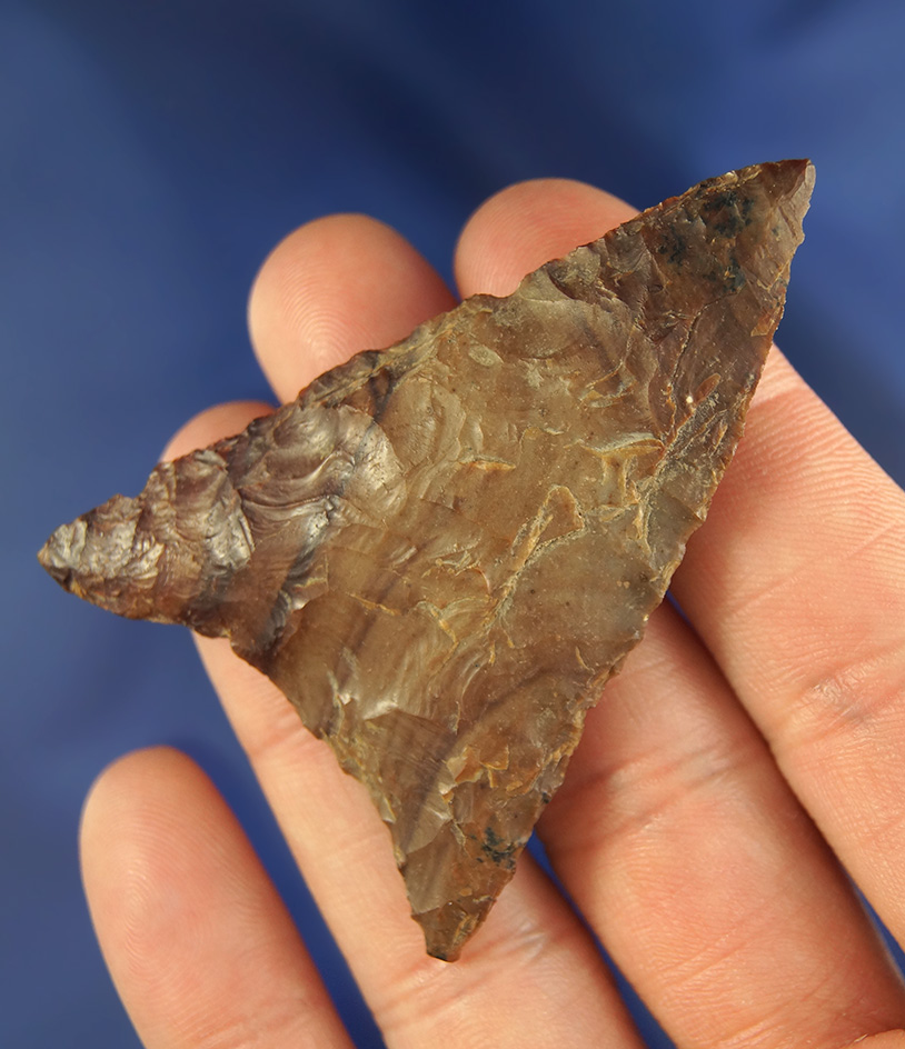 2 9/16" beautifully colored Petrified Wood Triangular Blade found near The Dalles, Oregon.